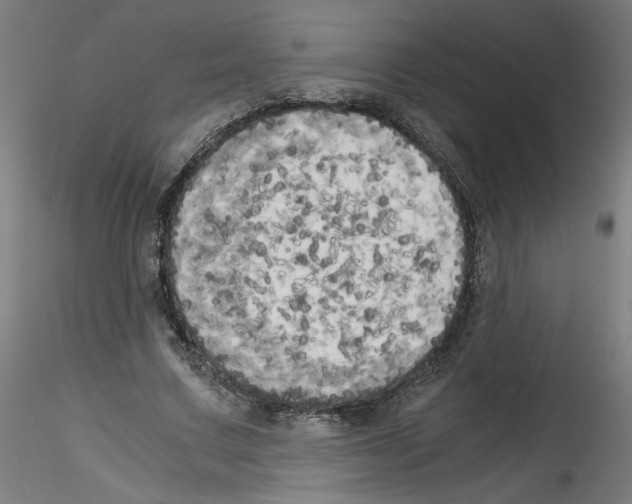 X0000114590683200911301400