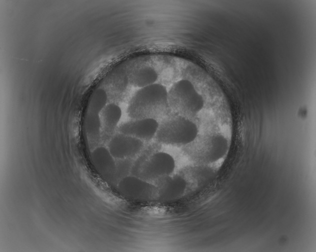 X0000114590687200911301400