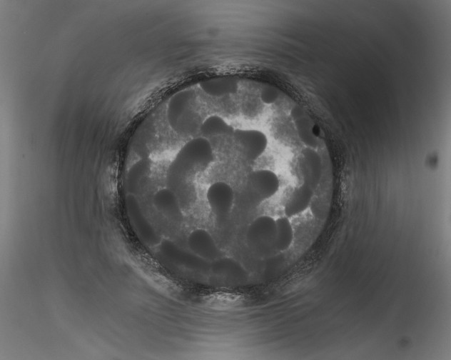 X0000114590691200911301400