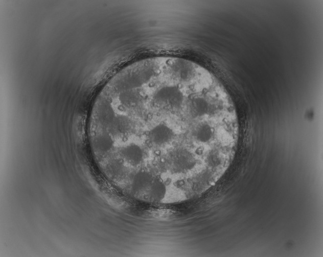 X0000114590695200911301400