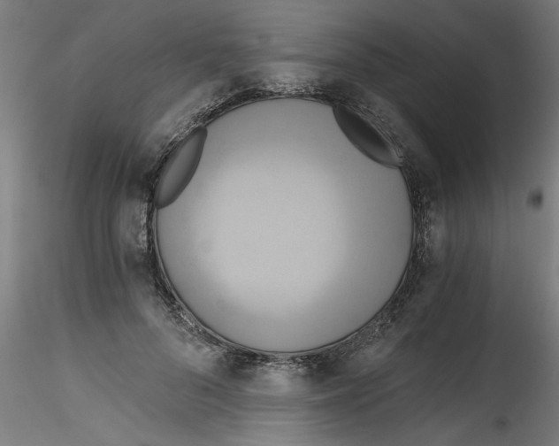 X0000114590696200911301400
