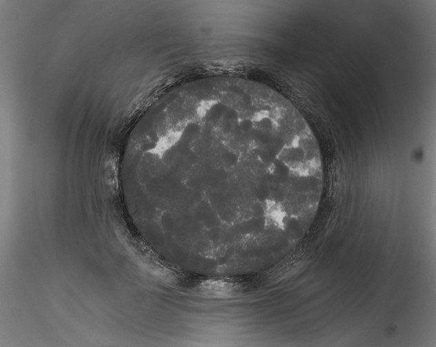 X0000114590699200911301400