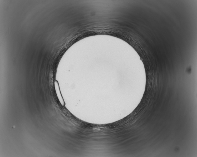 X0000114590700200911301400
