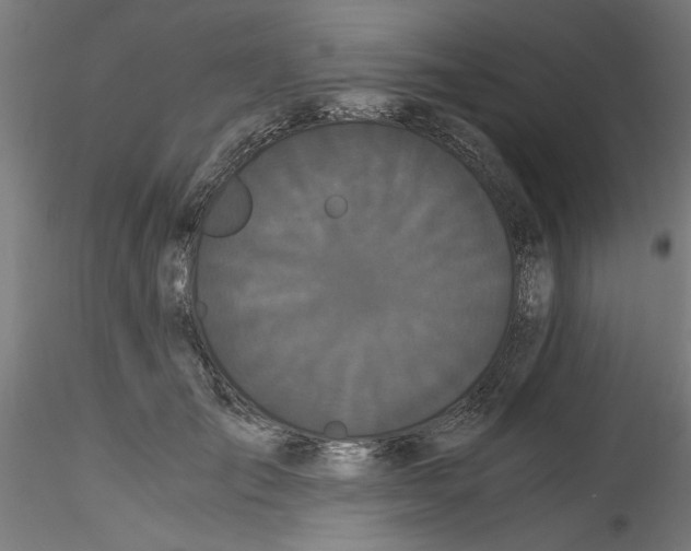 X0000114590701200911301400