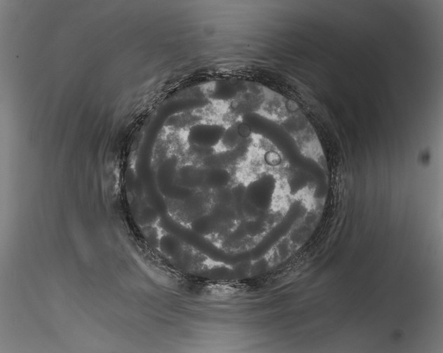 X0000114590703200911301400
