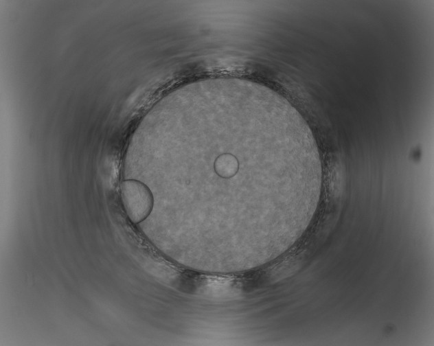 X0000114590709200911301400