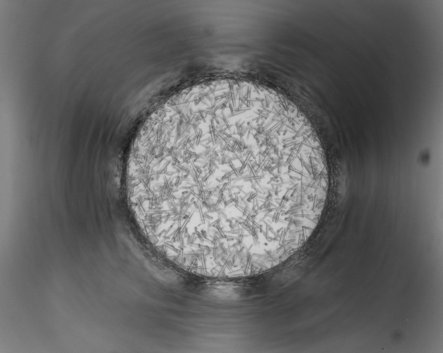X0000114590710200911301400