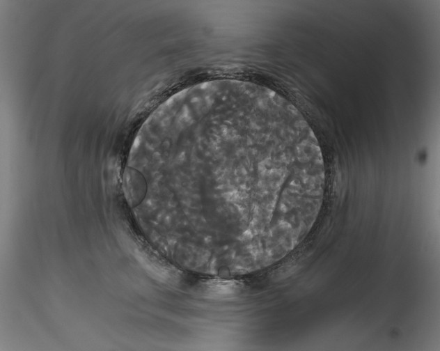 X0000114590711200911301400