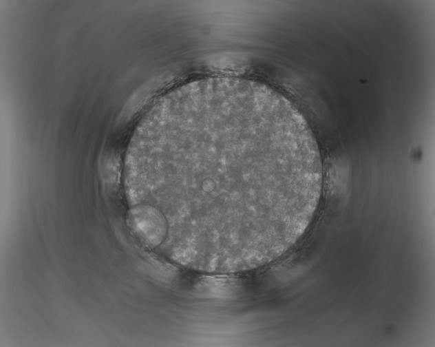 X0000114590713200911301400