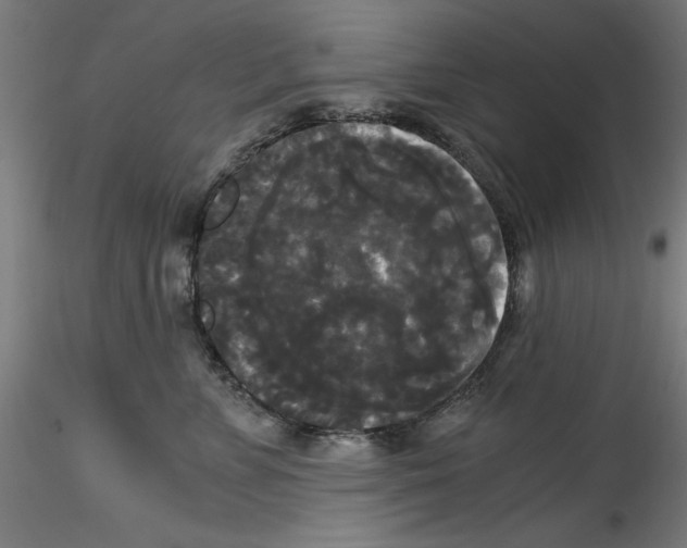 X0000114590715200911301400