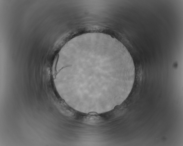X0000114590716200911301400
