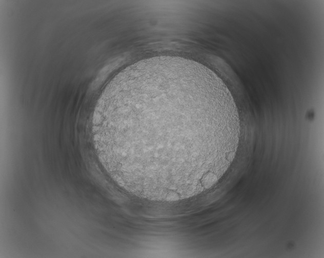 X0000114590717200911301359