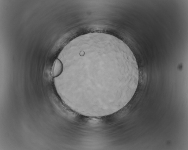 X0000114590718200911301359