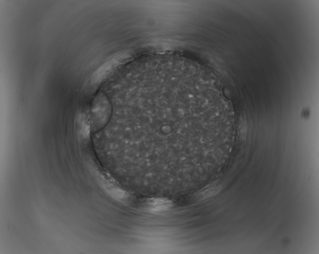 X0000114590719200911301359