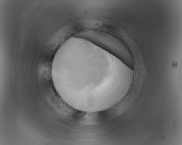X0000114590720200911301359