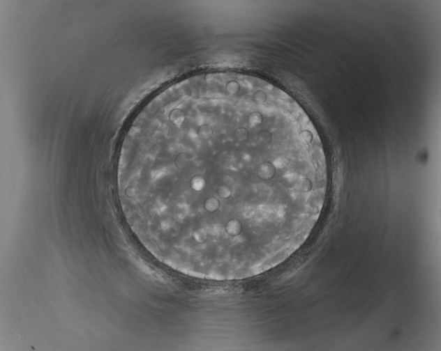 X0000114590721200911301359