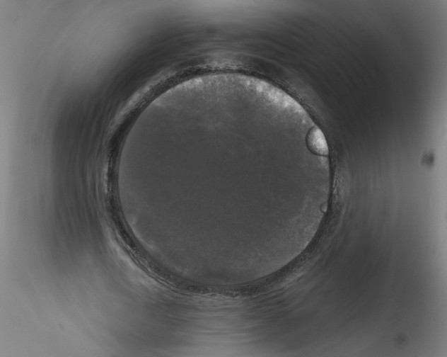 X0000114590722200911301359