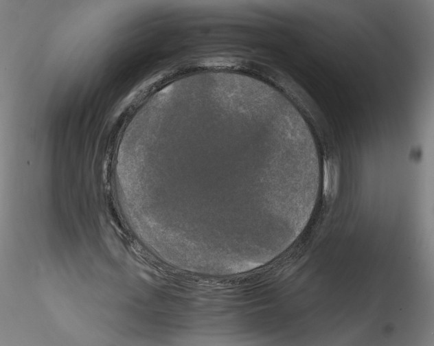 X0000114590723200911301359