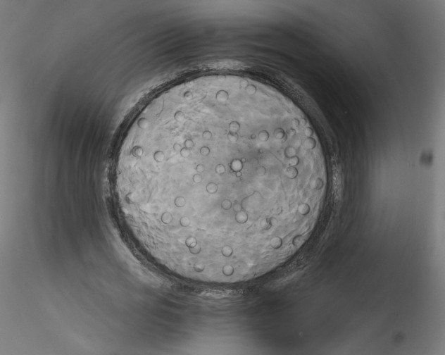 X0000114590725200911301359
