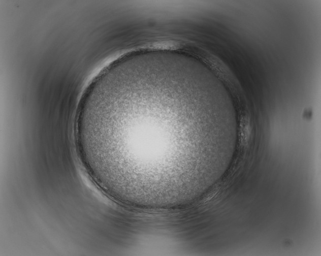 X0000114590726200911301359