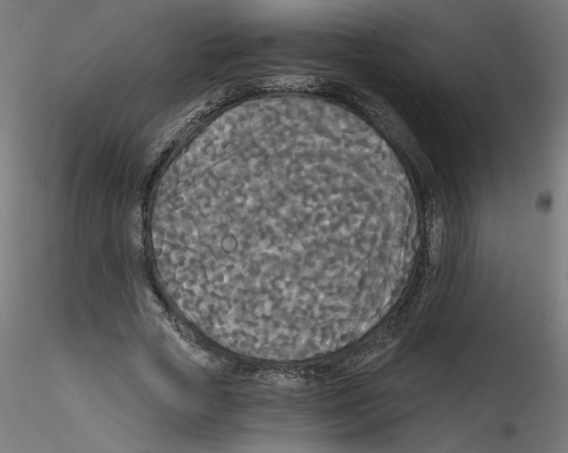 X0000114590729200911301359
