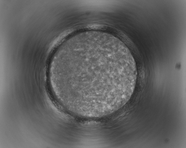 X0000114590734200911301359