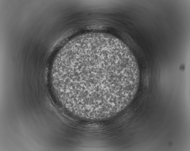 X0000114590735200911301359