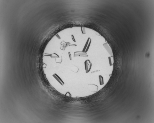 X0000114590738200911301359