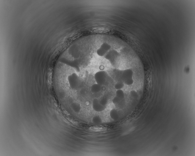 X0000114590745200911301359