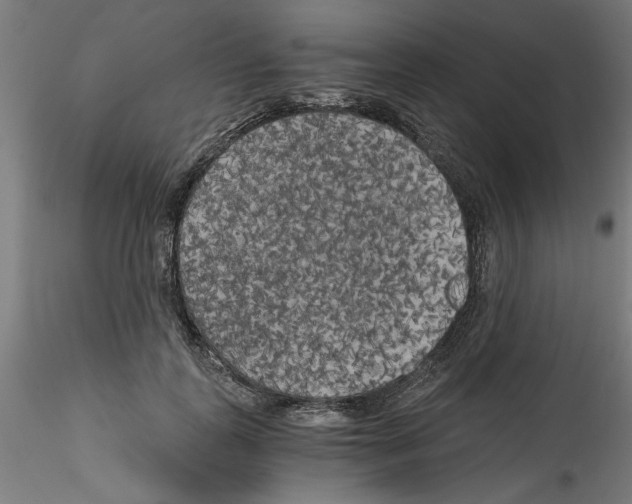 X0000114590747200911301359
