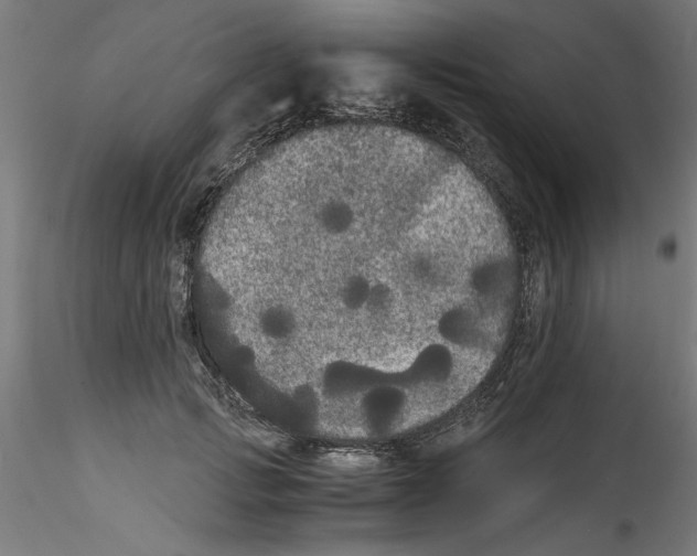 X0000114590749200911301359