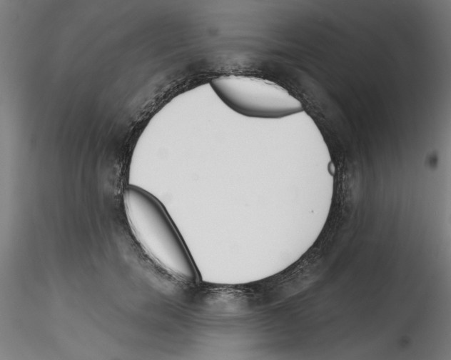 X0000114590750200911301359