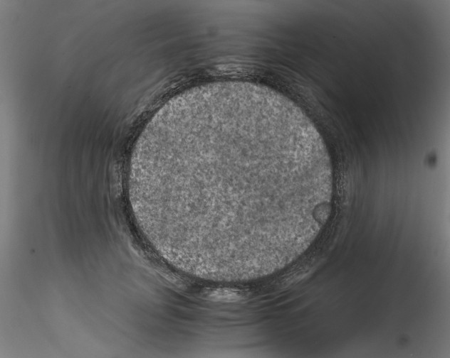 X0000114590751200911301359