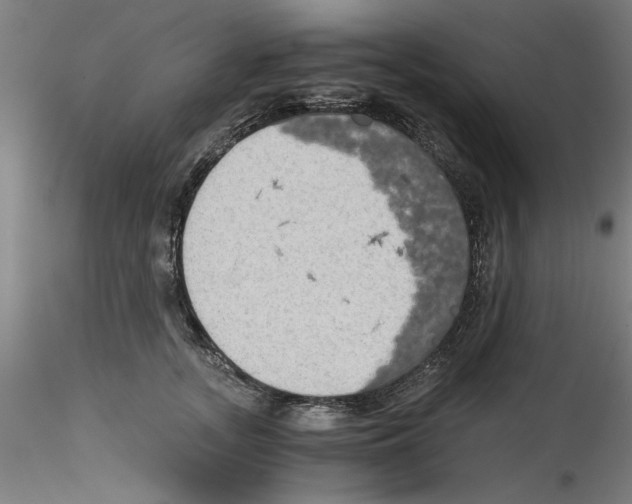 X0000114590755200911301359