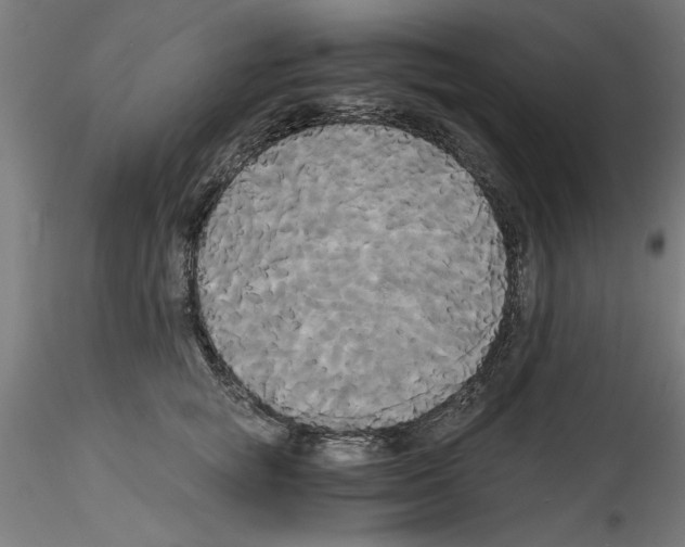 X0000114590757200911301359