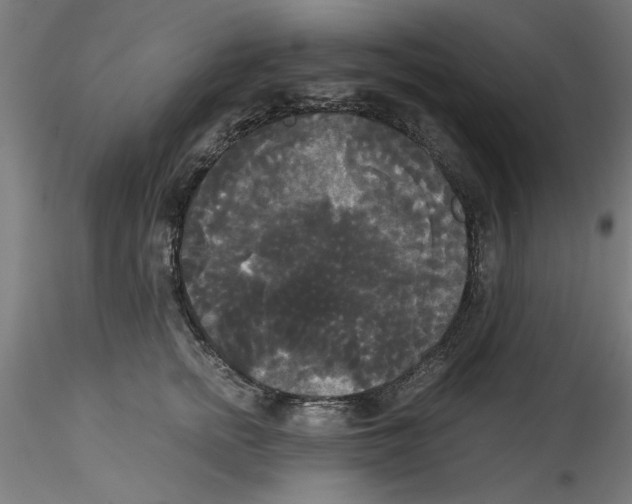 X0000114590758200911301359