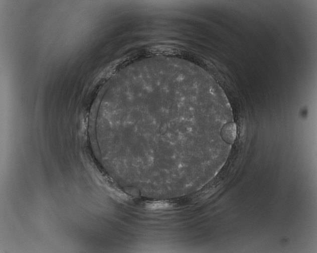 X0000114590759200911301359