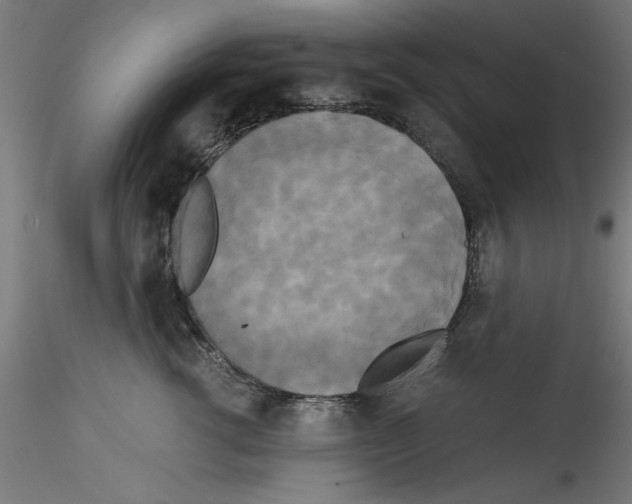 X0000114590762200911301359