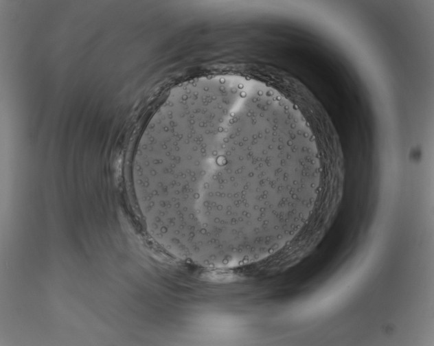 X0000114590767200911301359