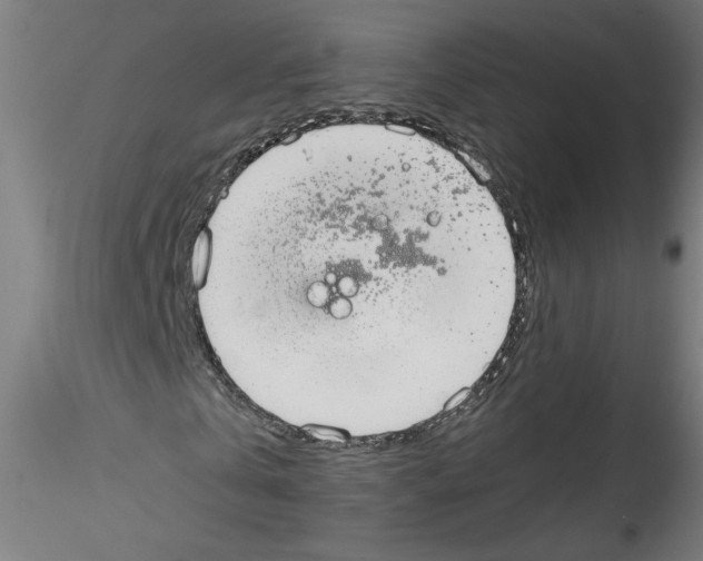 X0000114590769200911301359