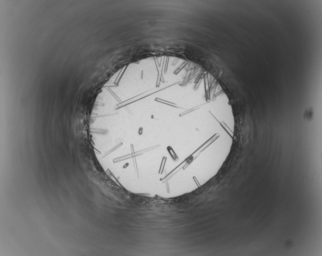 X0000114590770200911301359