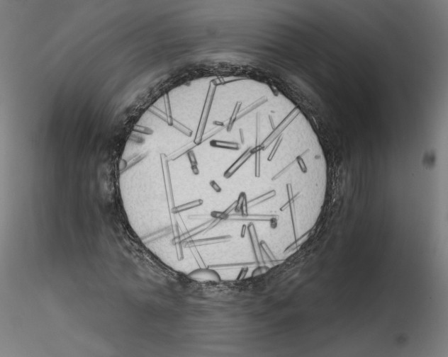 X0000114590774200911301359