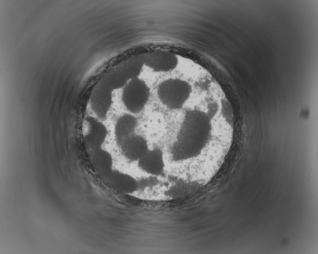 X0000114590775200911301359