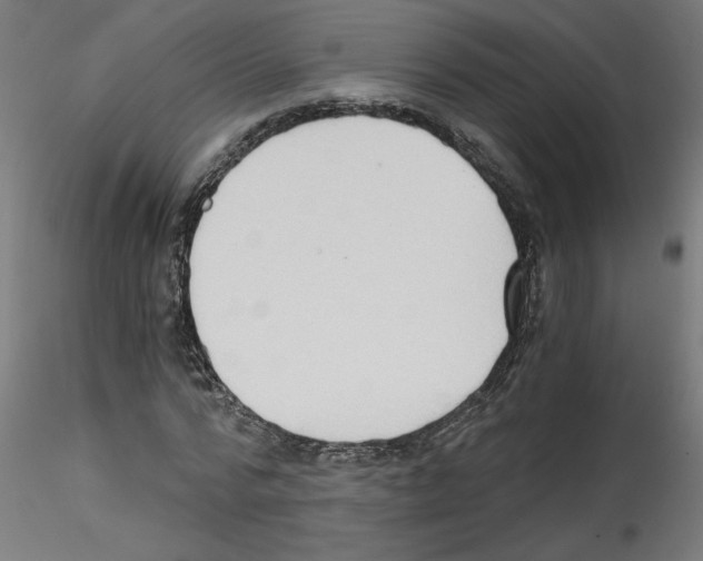 X0000114590776200911301359
