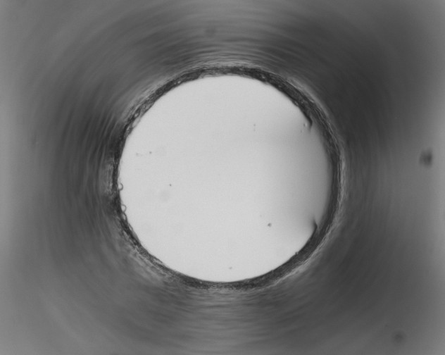 X0000114590777200911301358