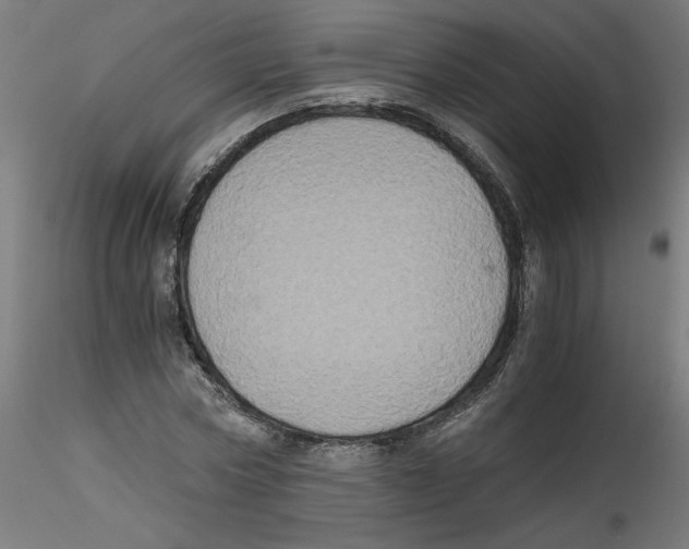 X0000114590778200911301358