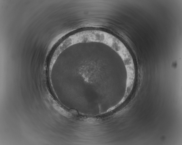 X0000114590779200911301358