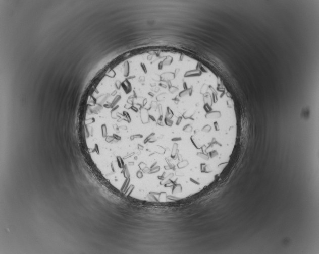 X0000114590780200911301358