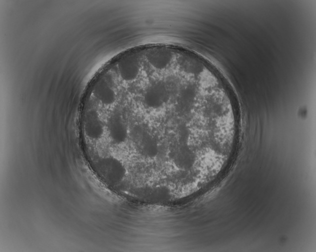 X0000114590783200911301358
