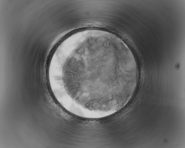 X0000114590784200911301358